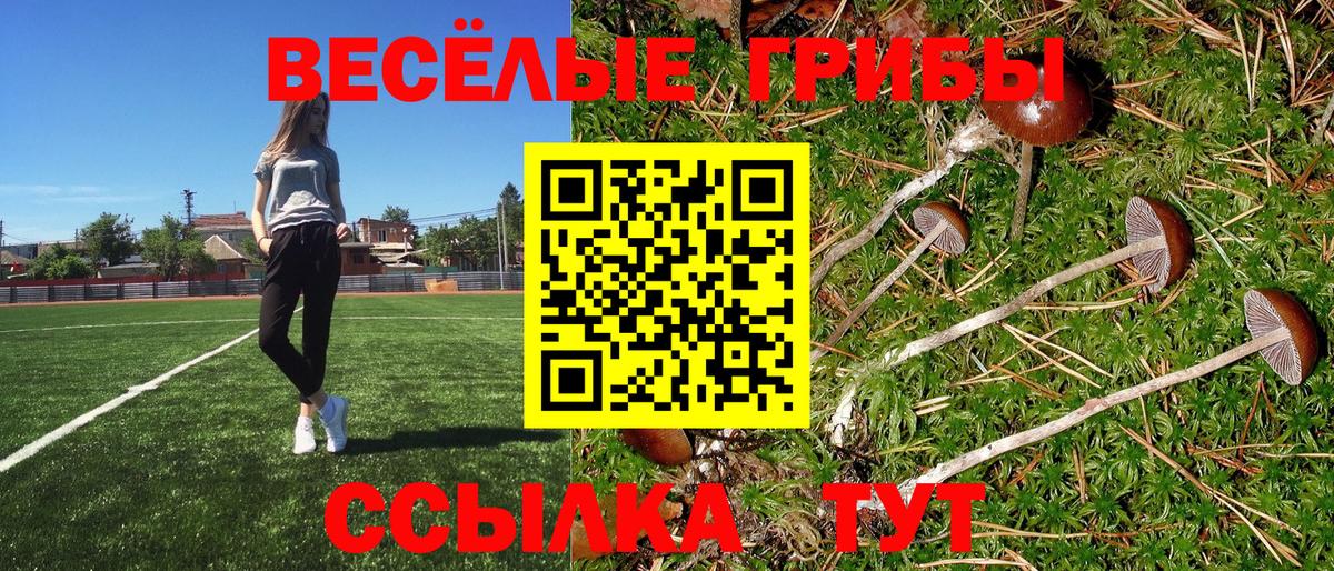 Псилоцибиновые грибы ЛСД  Вход с VPN  Будённовск 